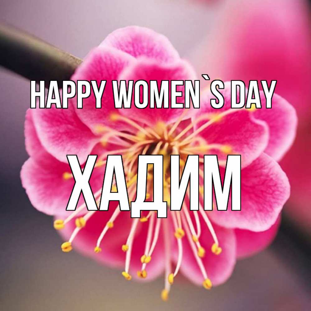Greetings card с именем, ХАДИМ happy women`s day цветы Greetings with text for free download 